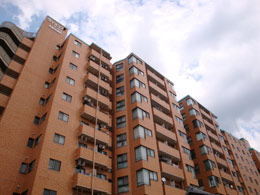 ���C�I���Y�}���V�������s�͌���