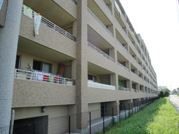 �l�o�[�����h������