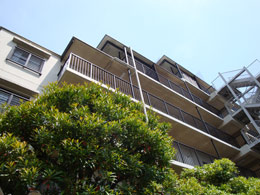 �l�I�R�[�|���R