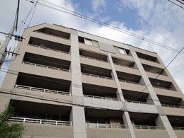 ���\�V�G�E���X�e�B�[�i�䏊��