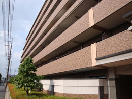 ���C�I���Y�}���V��������