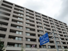 �T�[�p�X�V�e�B��r����H��