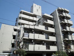 �X�J�C�m�u�����s�l���{