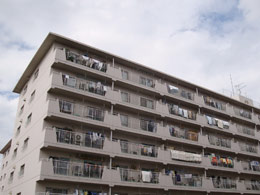 ���z�O�����h�n�C�c