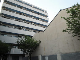 ���C�I���Y�}���V�����l���G��