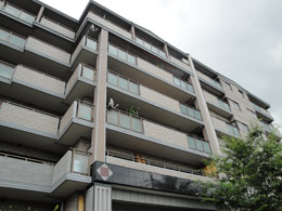 �p�f�V�I�����R��