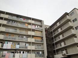 �[���T�j�[�n�C�c