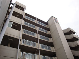 �y�����������R