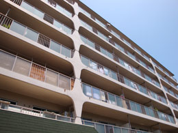 �R�ȕs��T���n�C�c