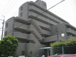 �����v���U����U