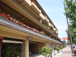 �|���g�E�h�E����