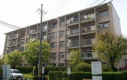 �����Z��