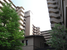 ���C�I���Y�}���V�����l���{�K�[�f���V�e�B