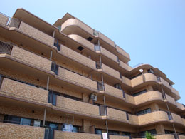 ���C�I���Y�}���V�����R�ȉ��H