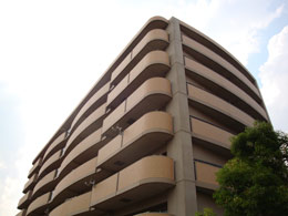 �f�B�I�E�t�F���e�B�O�g���E�F��