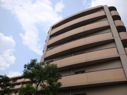 �f�B�I�E�t�F���e�B�O�g�����F��