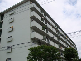 �g�ˉ@�K�[�f���n�C�c