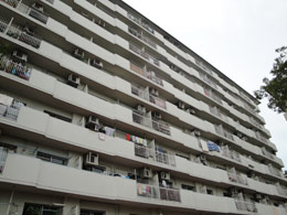 ���[�Y�}���V�������̐X