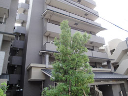 ���\�V�G���O�W�F�k��