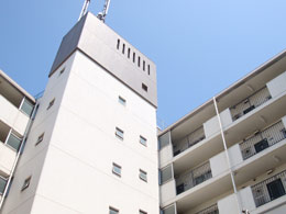 ����n�C�c