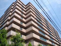 �T���V�e�B�����Ɉ�Ԋ�