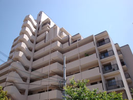 �t�@�~�[���n�C�c���s�����X�e�[�W�Q