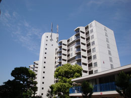 �t�@�~�[������