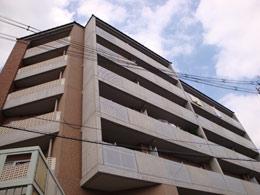 �}���n�C���j