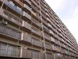 �R�Ȓc�nC��