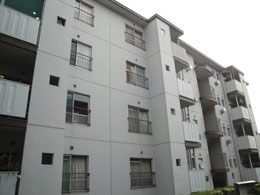 �ꌾ���c�n