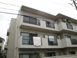 �V�F���A�Ɣn��