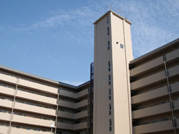 ����Z���g�����n�C�c