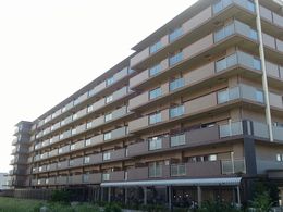 �p�f�V�I���\��