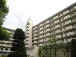 �~�ÃO�����h�n�C�c