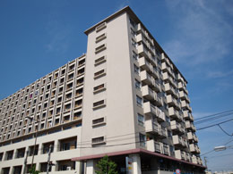 �����n�C��