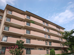 �T���V�e�B�j�⃍�C�����Q�Ԋ�