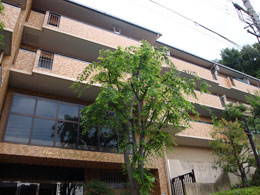 ���C�I���Y�}���V�����R�Ȍ��