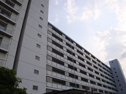 �n�C������