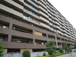 �t�@�~�[���K�[�f������w�O