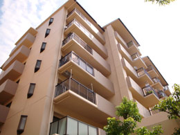 �T���V�e�B�j��Q�Ԋ�