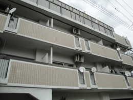 �G���V�e�B���R