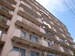 �����Ƀn�C�c