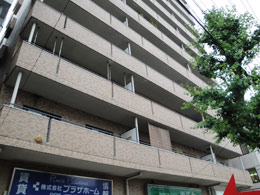 ���C�I���Y�}���V�������w��